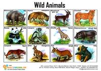 Should Wild Animals Be Kept As Pets Reading Quiz Quizizz