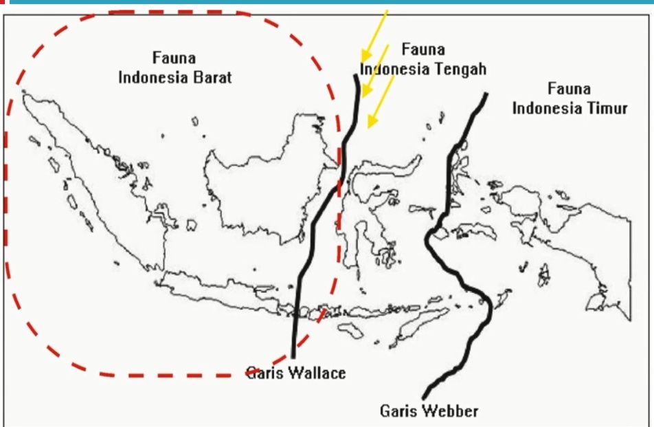 Bagian indonesia barat laut disebut dangkal di what i