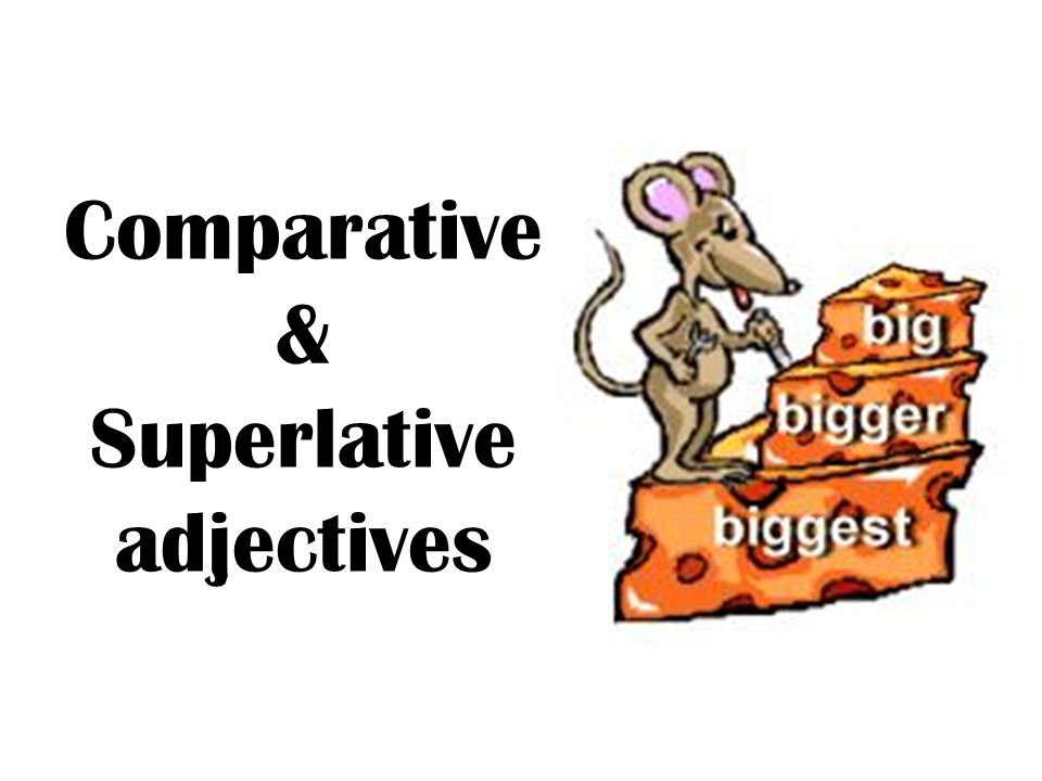 Superlative Adjectives | English - Quizizz