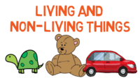 living and non living things Flashcards - Quizizz