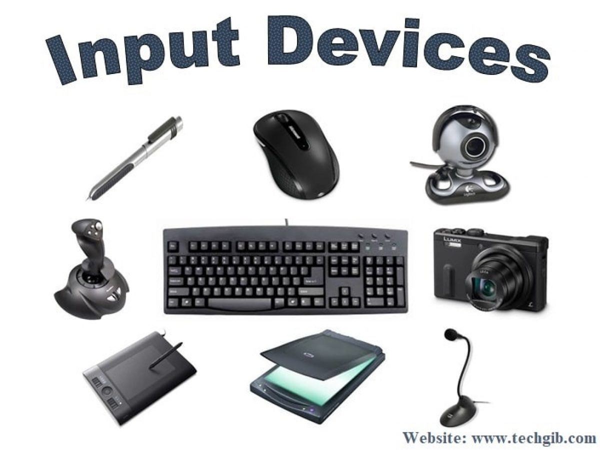 Input devices - Grade 2 | 688 plays | Quizizz