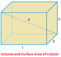 volume and surface area of cones - Class 9 - Quizizz