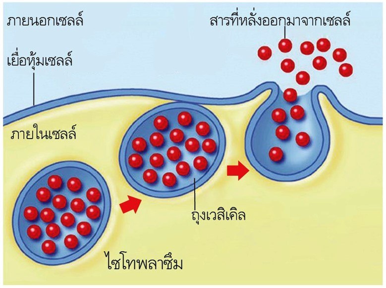 รูปร่าง 3 มิติ - ระดับชั้น 11 - Quizizz