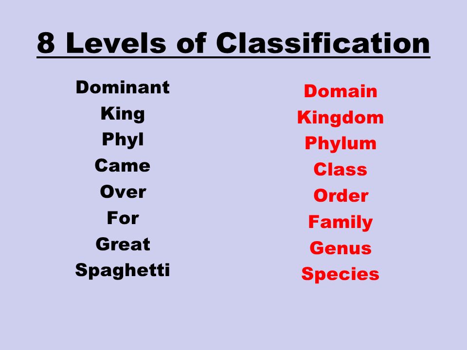 levels-of-classification-science-quiz-quizizz