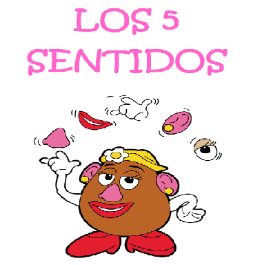 Los 5 Sentidos - Grado 6 - Quizizz