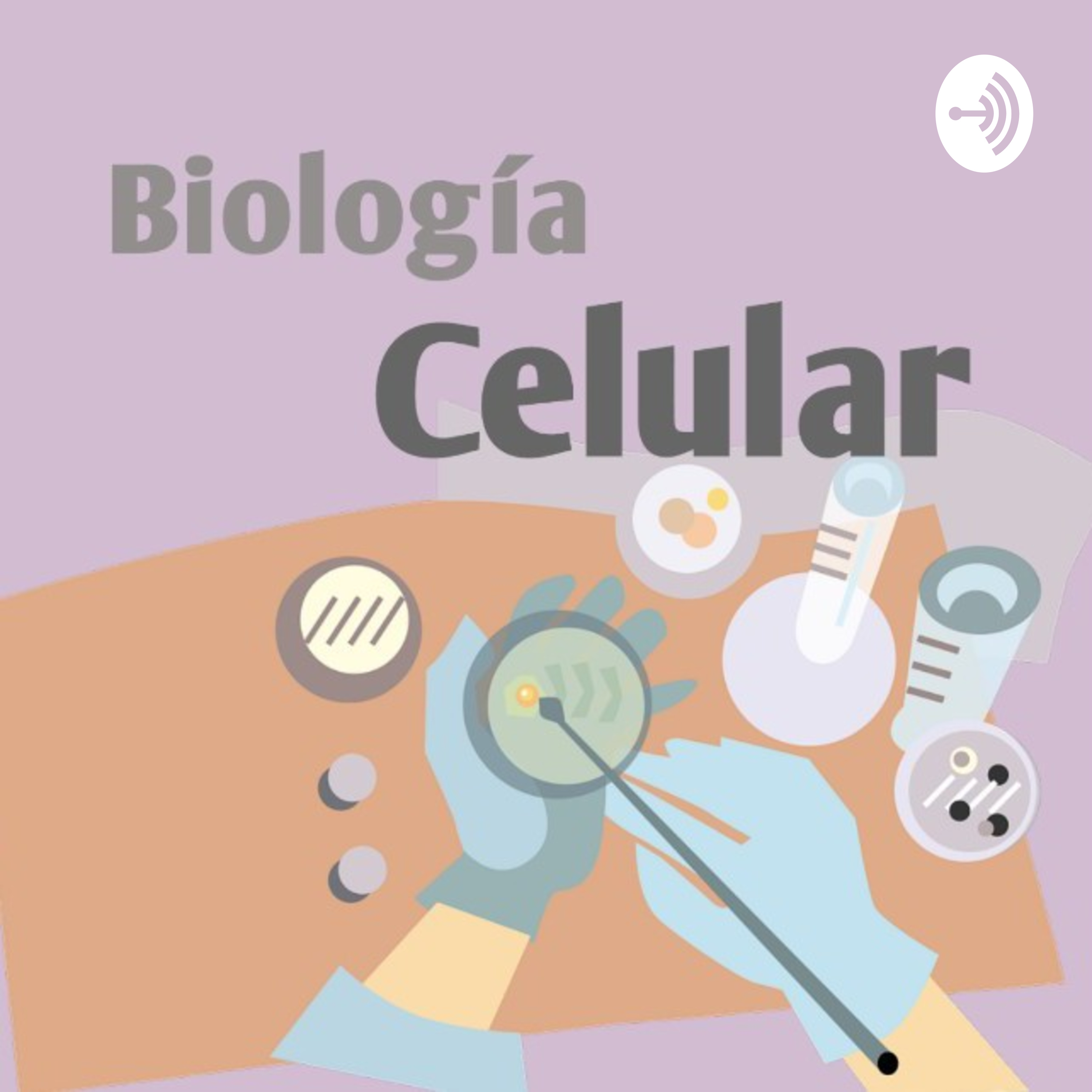 biología vegetal Tarjetas didácticas - Quizizz