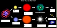 evolution and the tree of life - Year 7 - Quizizz