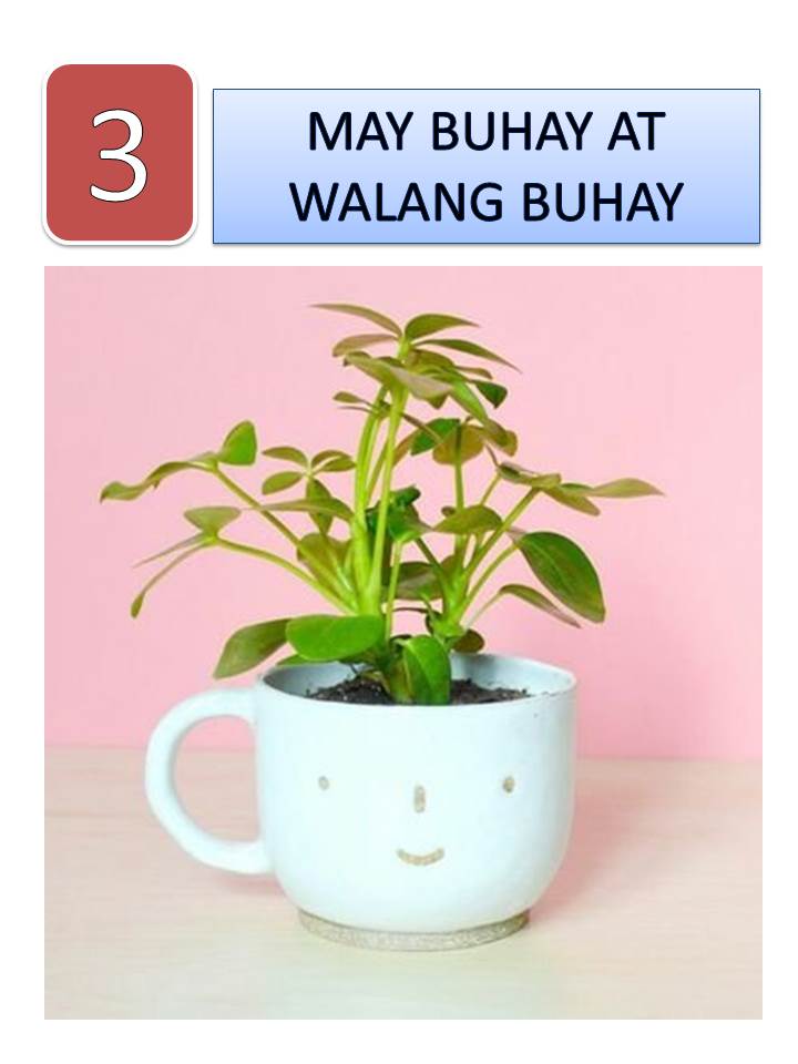 Katangian ng mga Bagay na may Buhay at Walang Buhay | Quizizz