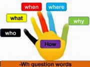 Who What When Where Why Questions - Class 5 - Quizizz