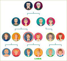 Familias de hechos - Grado 7 - Quizizz