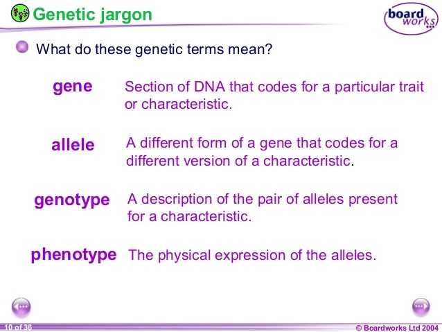 Introduction to Genetics- Mendelian | Biology - Quizizz