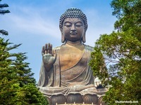 origins of buddhism Flashcards - Quizizz