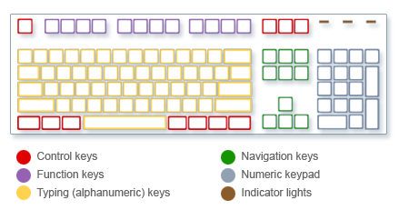 Grade-3-The Keyboard | Computers Quiz - Quizizz