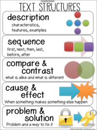 Paragraph Structure - Class 4 - Quizizz