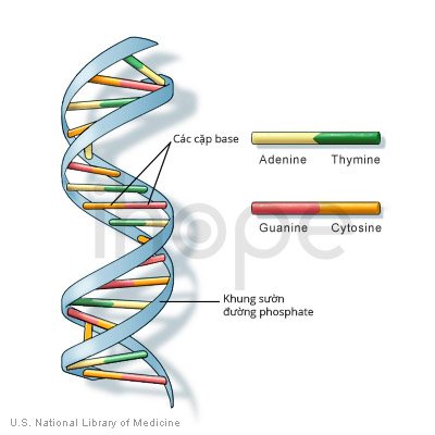 nguyên tử và phân tử - Lớp 12 - Quizizz