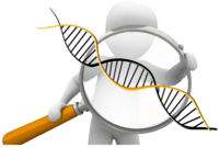 Mendelian Genetics