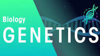 genetics vocabulary dominant and recessive - Grade 10 - Quizizz