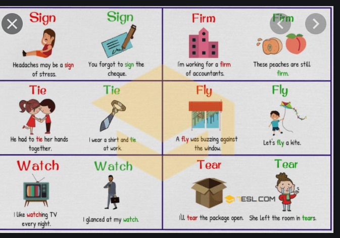 Homographs | English - Quizizz