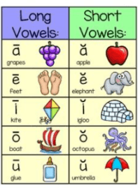 Short Vowels - Grade 3 - Quizizz