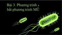 biểu thức hữu tỉ phương trình và hàm - Lớp 10 - Quizizz