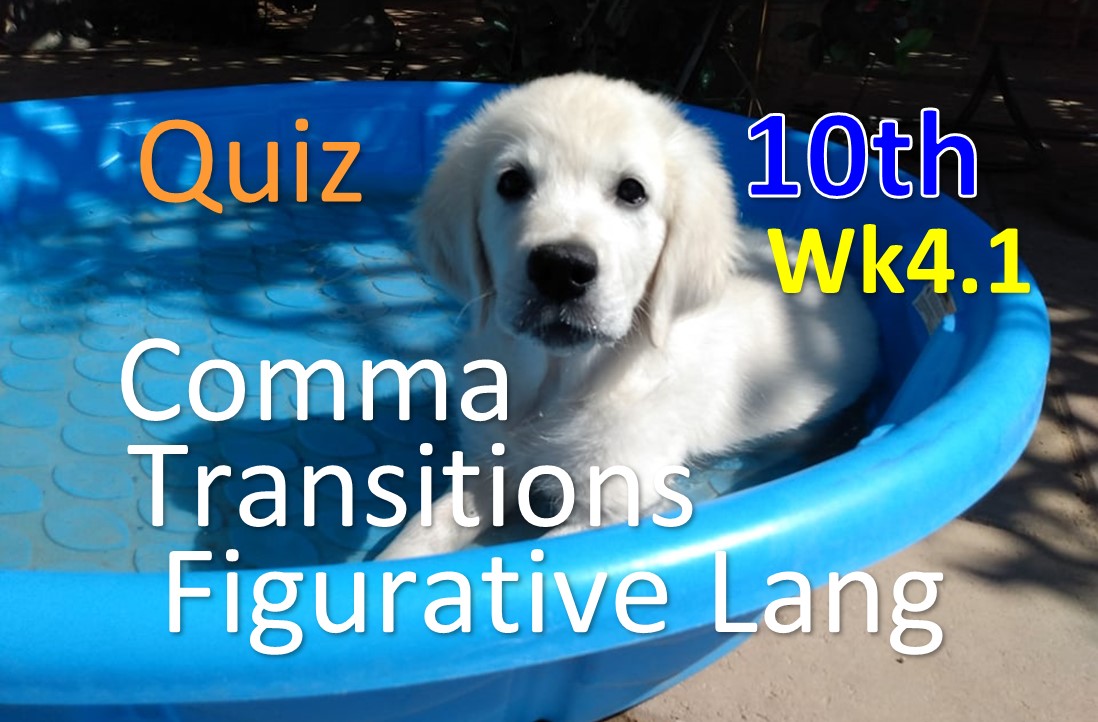 Commas After an Introductory Phrase - Year 10 - Quizizz