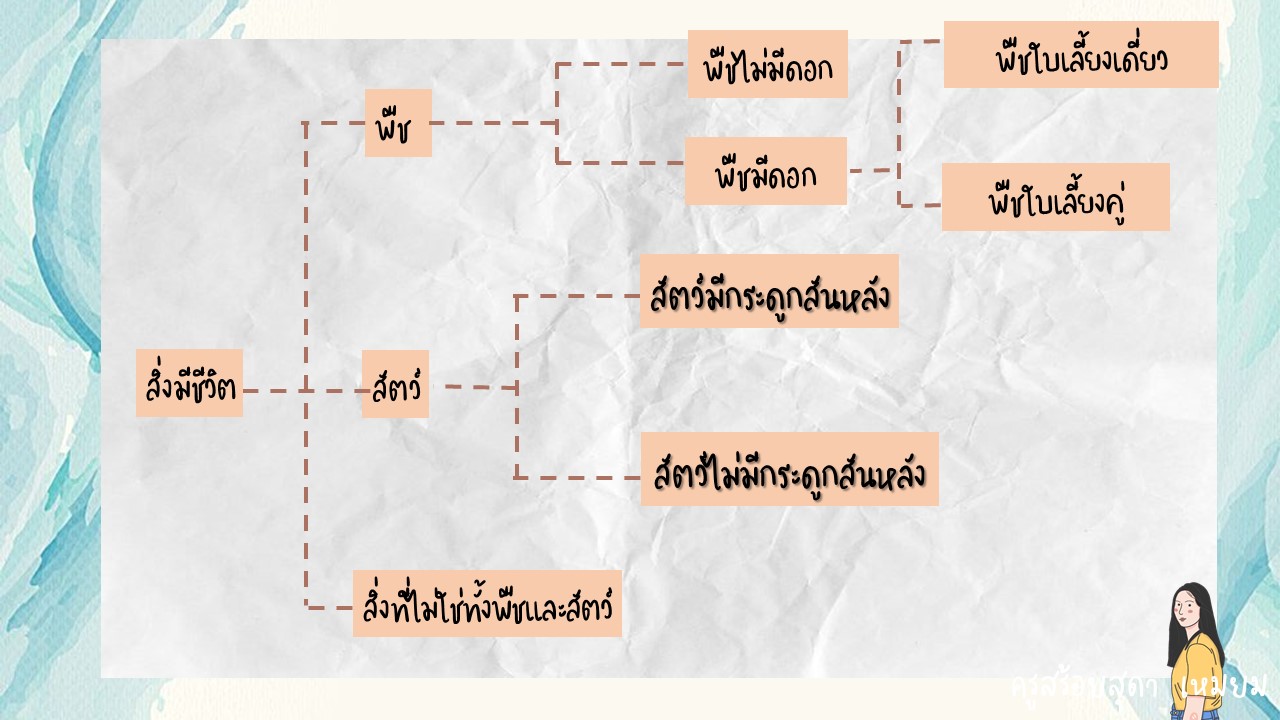 พืช สัตว์ และโลก - ระดับชั้น 9 - Quizizz