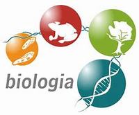 Biologia człowieka - Klasa 12 - Quiz