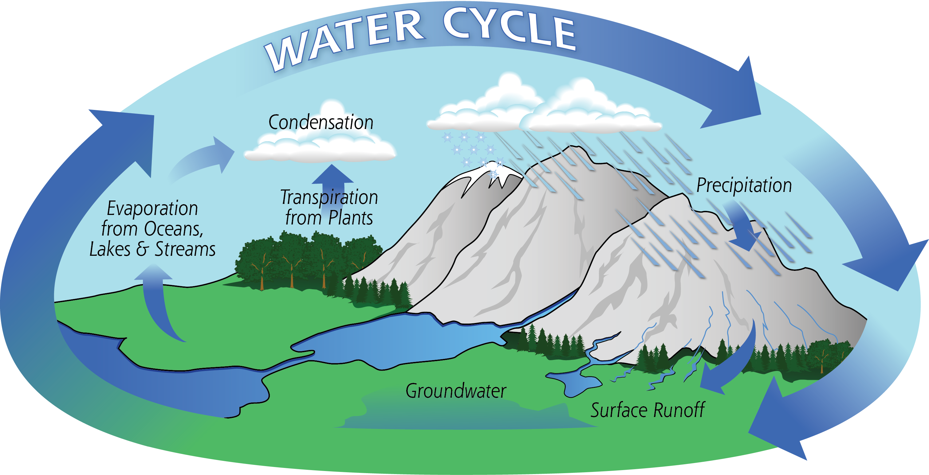 Water Cycle