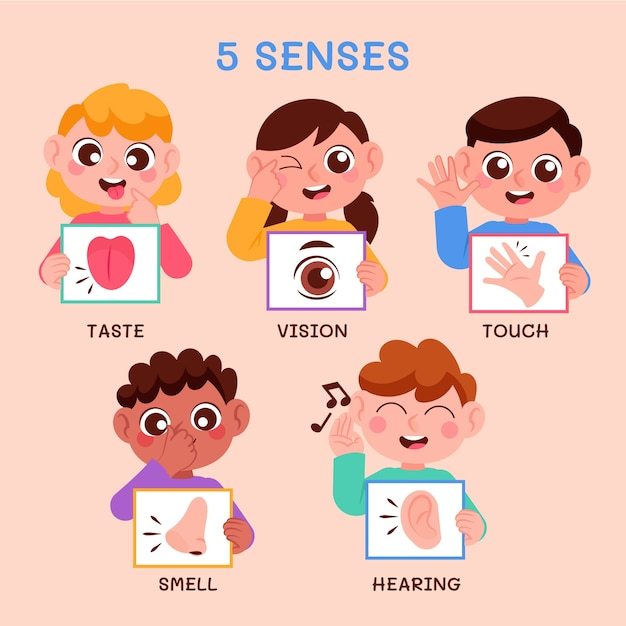 The 5 Senses - Grade 4 - Quizizz