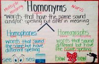 Homophones and Homographs - Grade 3 - Quizizz