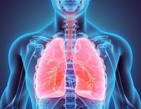 the circulatory and respiratory systems - Year 11 - Quizizz