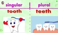 Irregular Plural Forms - Class 9 - Quizizz