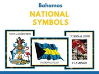 National Symbols - Year 1 - Quizizz