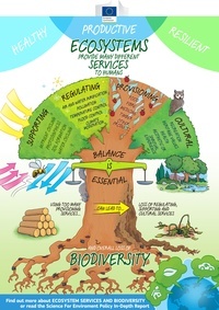 biodiversity and conservation - Grade 7 - Quizizz