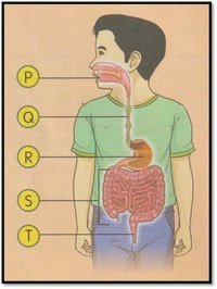 pencerahan - Kelas 3 - Kuis