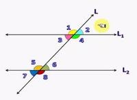 distância entre duas linhas paralelas - Série 12 - Questionário