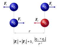 Âm lượng - Lớp 11 - Quizizz