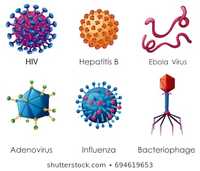 bacterias y arqueas - Grado 10 - Quizizz