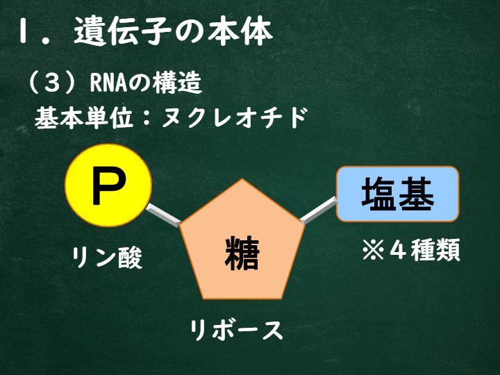 遺伝子 Biology Quizizz