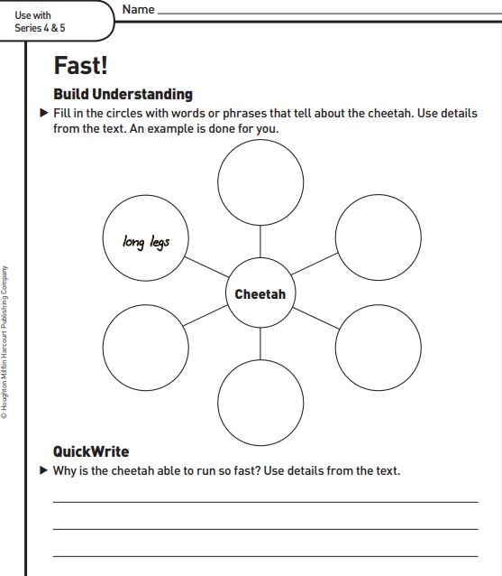 Fast! Graphic Organizer | English - Quizizz