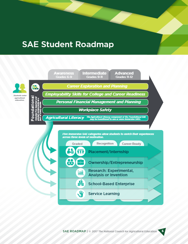 sae-for-all-lesson-education-quizizz