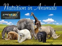Nutrition in Animals grade 7 | Science Quiz - Quizizz
