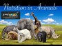 Nutrition in Animals grade 7