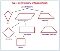 Quadrilaterals - Year 7 - Quizizz