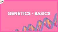 genetics vocabulary genotype and phenotype - Year 9 - Quizizz