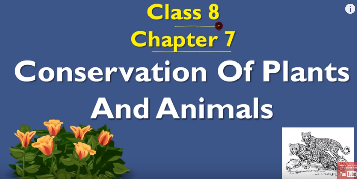 Conservation of plants and animals