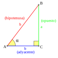 segundas derivadas de funciones trigonométricas - Grado 11 - Quizizz