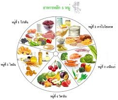 เนื้อเยื่อ - ระดับชั้น 6 - Quizizz