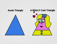 angle side relationships in triangles - Class 5 - Quizizz