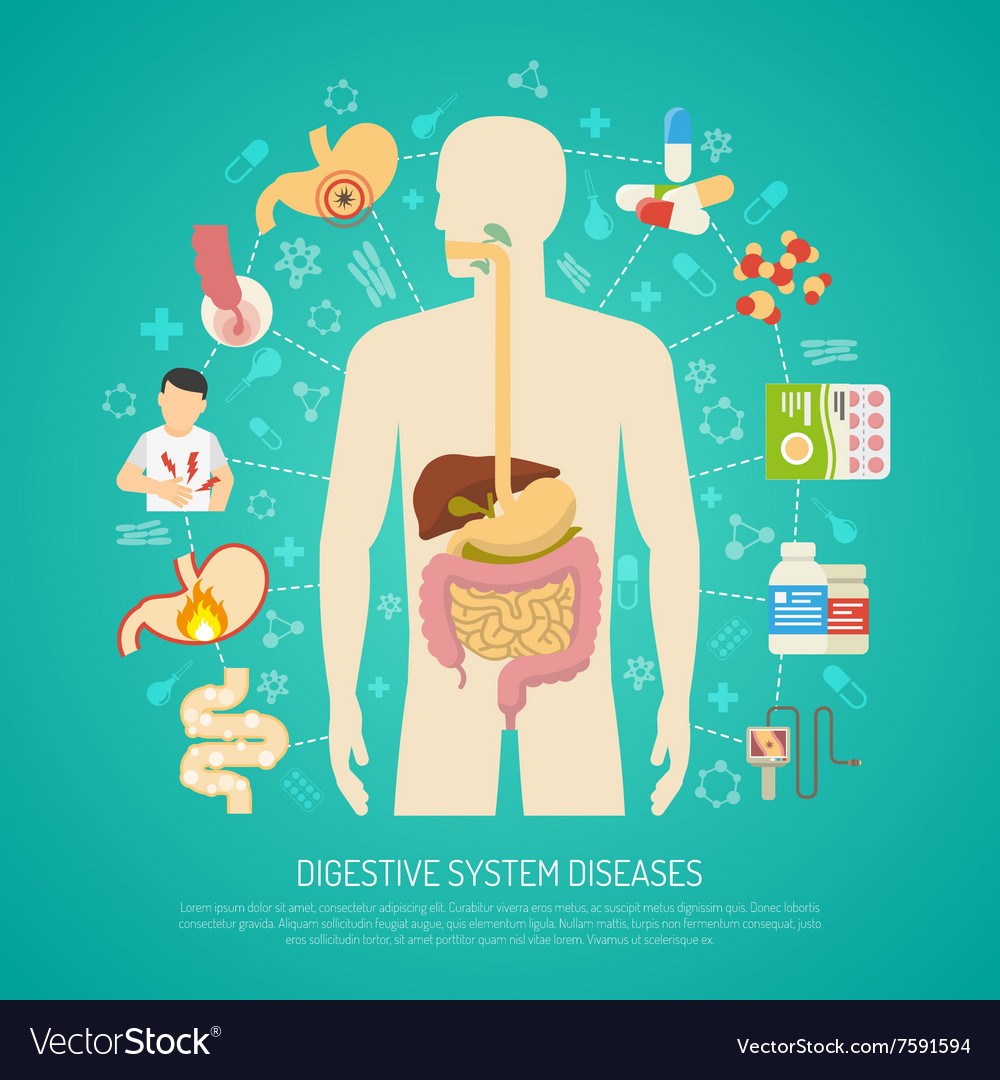 2-5-diseases-of-the-digestive-system-science-quizizz